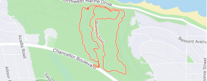 strava map